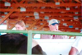 Livestock Auction-Black & Associates
